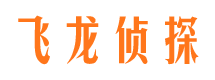 新建侦探公司